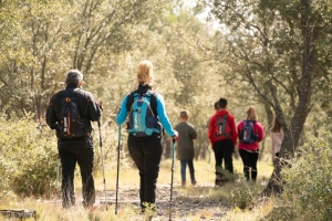 Camino Francés | 8 Días | Roncesavalles a Logroño | Hoteles selección